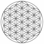 A sacred geometry drawing of the Flower of Life, showing multiple evenly spaced, overlapping circles forming a symmetrical hexagonal pattern.
