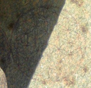 The ancient Flower of Life symbol precisely carved into a red granite pillar inside the Osirion at Abydos, Egypt.
