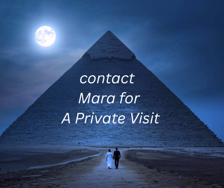 Private Tour in Egypt .v. Private Time or Private Visit