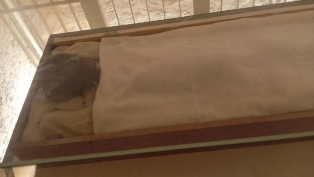 mummy of King Tutankhamun in his tomb in the Valley of the Kings, Luxor, Egypt